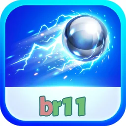 br11